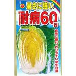 【種 たね タネ】暑さに強い 耐病60日 白菜 はくさい アタリヤ農園