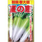 【種 たね タネ】耐病春大根 夏の恵 アタリヤ農園