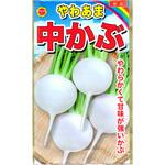 703448 【種 たね タネ】やわあま 中かぶ アタリヤ農園
