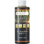 活根彩果 甘彩六花