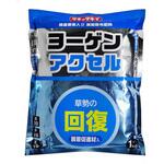 ヨーゲンアクセル タキイ種苗