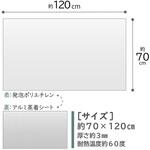 お風呂ぬくぬく 保温アルミシート アストロ