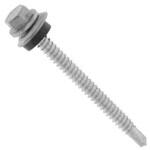 3カ-W ピアス(ステンCAP(ゼン 大阪魂