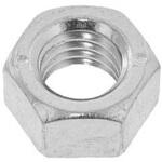 BCコガタナット(1シュ 大阪魂