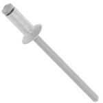 POPリベット(サラ TAPK 大阪魂