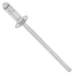 POPリベット TAPD-HR 大阪魂