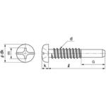 BK ステン(+-)BPナベ G=10 大阪魂