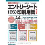 労務 11-80 エントリーシート(ES)印刷用紙セット 日本法令