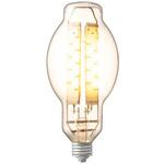 LEDioc LEDライトバルブG 15W 電球色 〈E26口金〉 岩崎電気