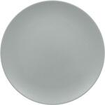 RA21001NFPG ネオフュージョン フラットプレート PG21cm ラックポーセレン