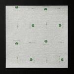 ワサガード抗菌シート(雲龍タイプ)100×100mm(100枚入) 虎変堂