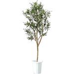 人工植物H1500 LION (ライオン事務器)