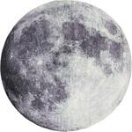 SH-01-RG-18--TU プリントラグ ムーン スベリ止め加工 ホームテイスト