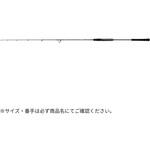 ソルティガ J TS DAIWA(ダイワ)