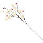 招福ファレノ MAGIQ(東京堂)