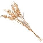 FJ002276 きらめき稲穂束 MAGIQ(東京堂)