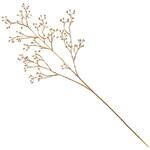 ルミナスローズヒップ MAGIQ(東京堂)