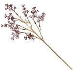 FJ006418 メルローベリー MAGIQ(東京堂)