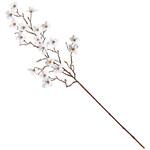 花みずきポーセリナ MAGIQ(東京堂)