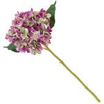 グラディハイドレンジア MAGIQ(東京堂)