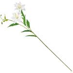 ダブルリリースプレー MAGIQ(東京堂)