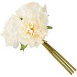 ベティピオニーバンドル MAGIQ(東京堂)