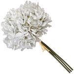 シアーハイドレンジアバンドル MAGIQ(東京堂)