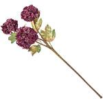 ヴェルディビバーナム MAGIQ(東京堂)