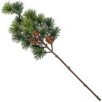 JV001457 ときわ松枝 MAGIQ(東京堂)