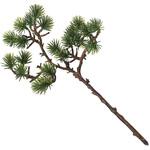 JV001615 あかり松 MAGIQ(東京堂)