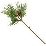 JV001850 かんな松ピック MAGIQ(東京堂)