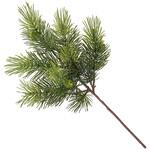 JV002004 新緑松枝 MAGIQ(東京堂)