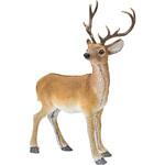 XZ000128 リアルレインディア 東京堂