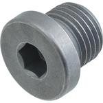 Screw plug 11117728742 BMW