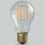 LED電球 サイフォン The Bulb60(ザ・バルブ60 クリア) オンリーワン(OnlyOne)