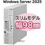 T110m-S Xeon 4C/16G/600GB*3/R5/W25 NEC