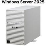 T110m Xeon 4C/16G/2TB*2/R1/W25 NEC