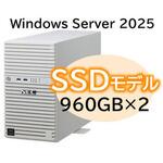 T110m Xeon 4C/16G/960GB*2/R1/W25 NEC
