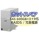 T110m Xeon 6C/32G/600GB*4/R5/W22 NEC