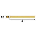 60802 真鍮チップ 5本入 NSK(ナカニシ)