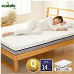 エコラテ エリート 14cm 一枚ものマットレス ELT-14Iシリーズ 篠原化学