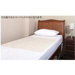 CEG-085095-25-2 シーツ 20枚入 CEGシリーズ Conni(コニー)