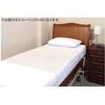 CEG-100100-25-2 シーツ 20枚入 CEGシリーズ Conni(コニー)