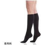 ビムスタイル 20 コンフォートスタイル 2本入 V20CFシリーズ ベーテルプラス