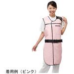 プレミアライト フレームライトエプロンタイプ PABシリーズ 保科製作所