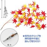 ミニもみじシダレ(クリップタイプ) アルファ