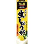 S&B エスビー おろし生しょうが 40g x10 ヱスビー食品