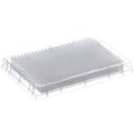 AB-0781 384ウェルマイクロプレート PP、ピラミッド底 1箱 50個入 ABgene