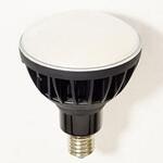 AC100V/ 50W 電球 黒 エスコ