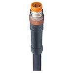 14779 RSM 3-224/0，3 M センサアクチュエータケーブル コア数：3 RSMシリーズ Lumberg Automation